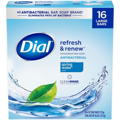 Dial Antibakterielle Seife, Spring Water, 113g, 16er-Pack