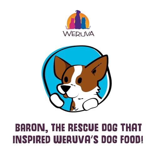 Weruva Classic Dog Food, Paw Lickin’ Chicken with Chicken Breast in Gravy, 14oz Can (Pack of 12)