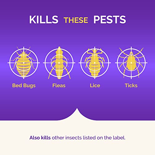 Hot Shot BedBug And Flea Fogger 3 Count-2 Ounce Cans, With Nylar, Inhibits Flea Reinfestation