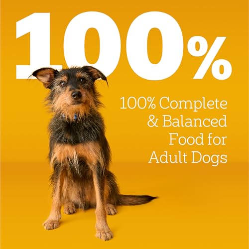 Pedigree Complete Nutrition Adult Dry Dog Food, Grilled Steak & Vegetable Flavor, 18 lb. Bag