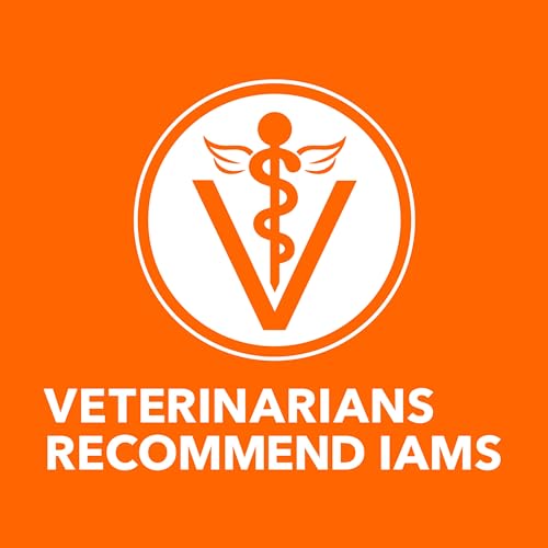 IAMS Perfect Portions Indoor Adult Wet Cat Food Cuts in Gravy Variety Pack, Salmon and Tuna Recipes, 2.6 oz. Easy Peel Twin-Pack Trays (12 Count, 24 Servings)