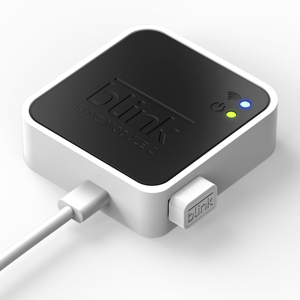 Blink USB Flash Drive for local video storage with Blink Sync Module 2