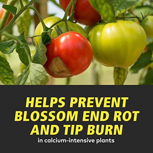 General Hydroponics CALiMAGic 1-0-0, Concentrated Blend of Calcium & Magnesium, Secondary Nutrient Deficiencies Helps Prevent Blossom End Rot & Tip Burn, Clean, Soluble, 1-Quart