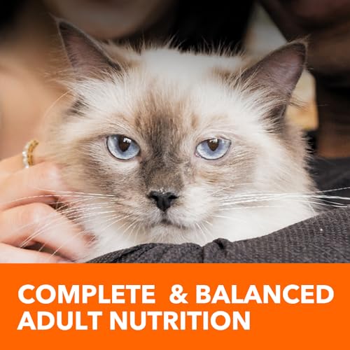IAMS Proactive Health Indoor Weight Control & Hairball Care Adult Dry Cat Food, Chicken & Turkey Recipe, 7 lb. Bag