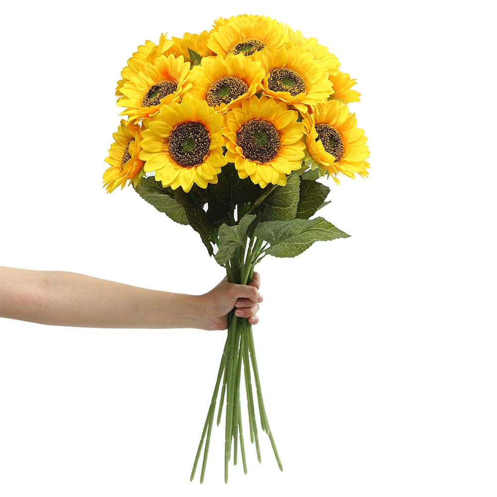 {{Product title}} | Buy from the USA & Ship Worldwide | 2PriceTags