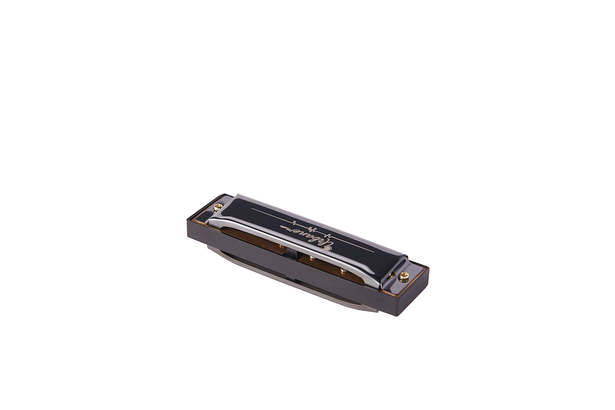 Harmonica 10 Holes 20 Tunes Mouth Organ Blues Deluxe Harmonica, Key of C for Beginner, Adults, Kids Gift, Black