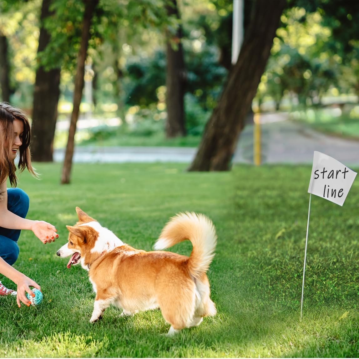 Zozen 50Pack White Marking Flags, Writable | 15x4x5 Inch, Yard Flags for Lawn & Irrigation & Landscape & Sprinkler & Survey & Dog Training.