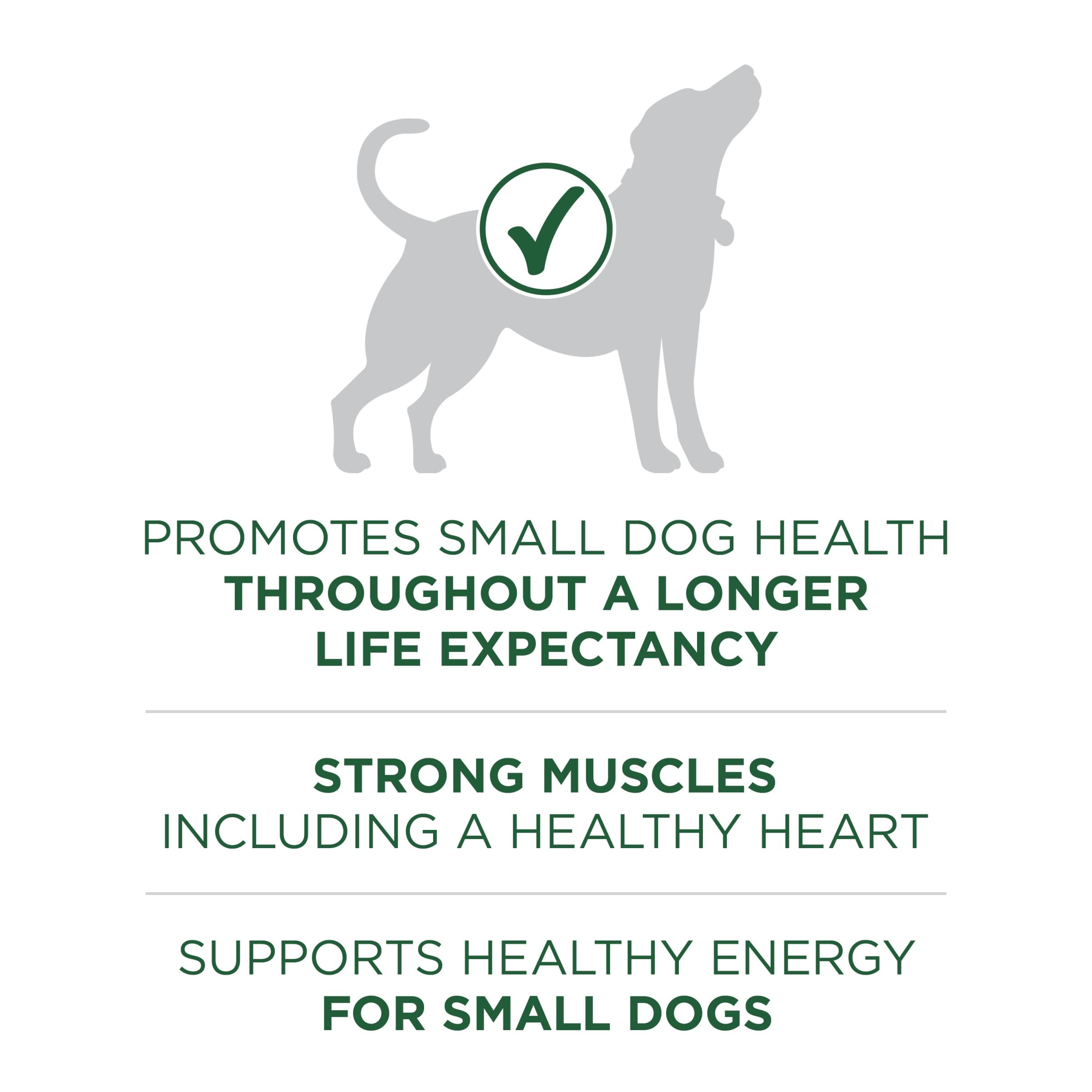 Purina ONE Plus Small Breed Lamb and Rice Formula Dry Dog Food - 7.4 lb. Bag