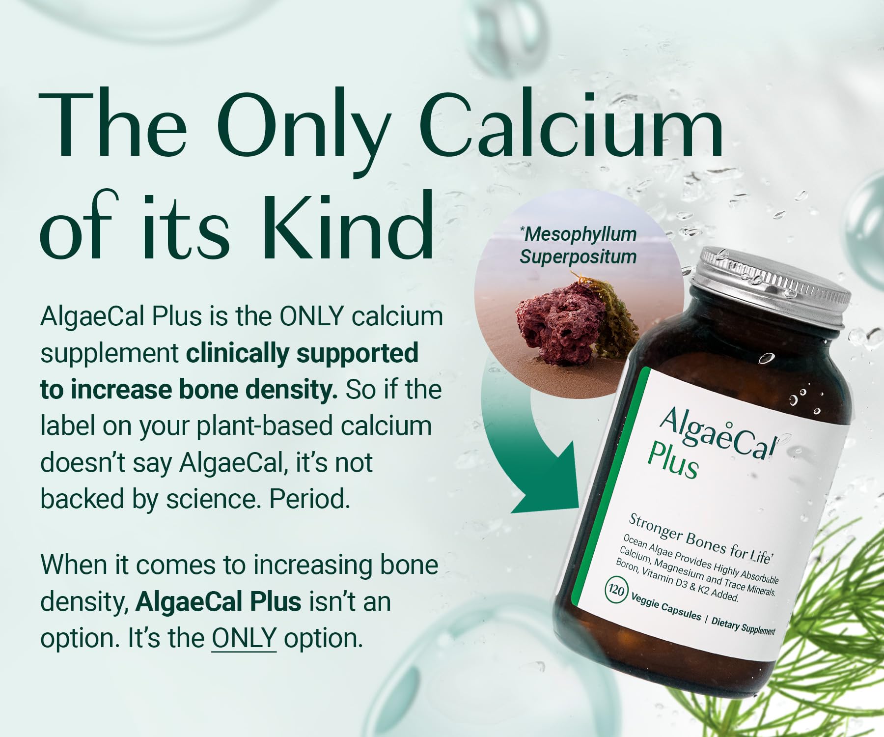 AlgaeCal - Bone Builder Pack for Bone Density Increase, Clinically Supported Plant Based Calcium Supplement & Strontium, Vitamins K2 (100mg), D3 (1600 IU), Magnesium & 16 Essential nutrients