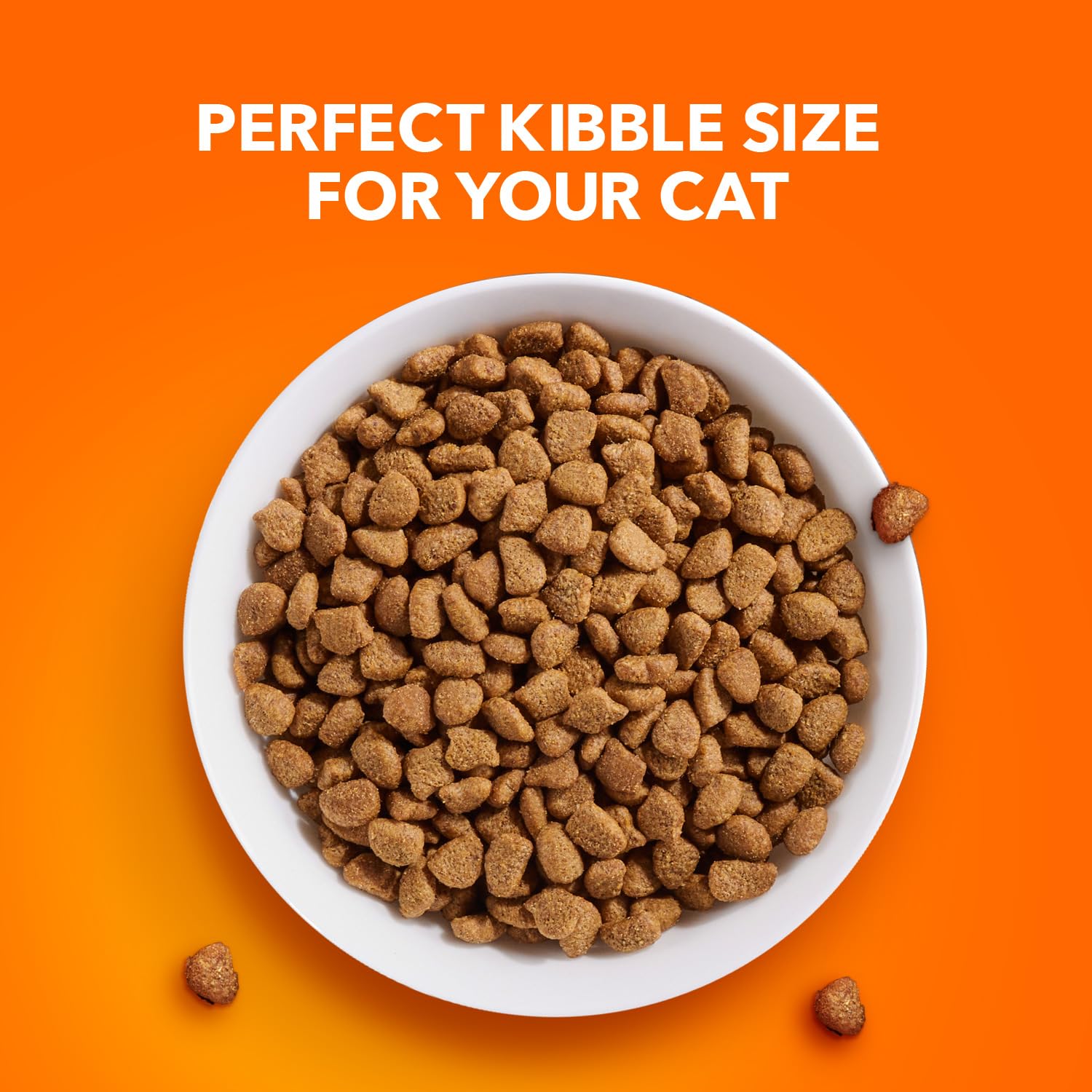 IAMS Proactive Health Adult Healthy Dry Cat Food with Chicken, 7 lb. Bag
