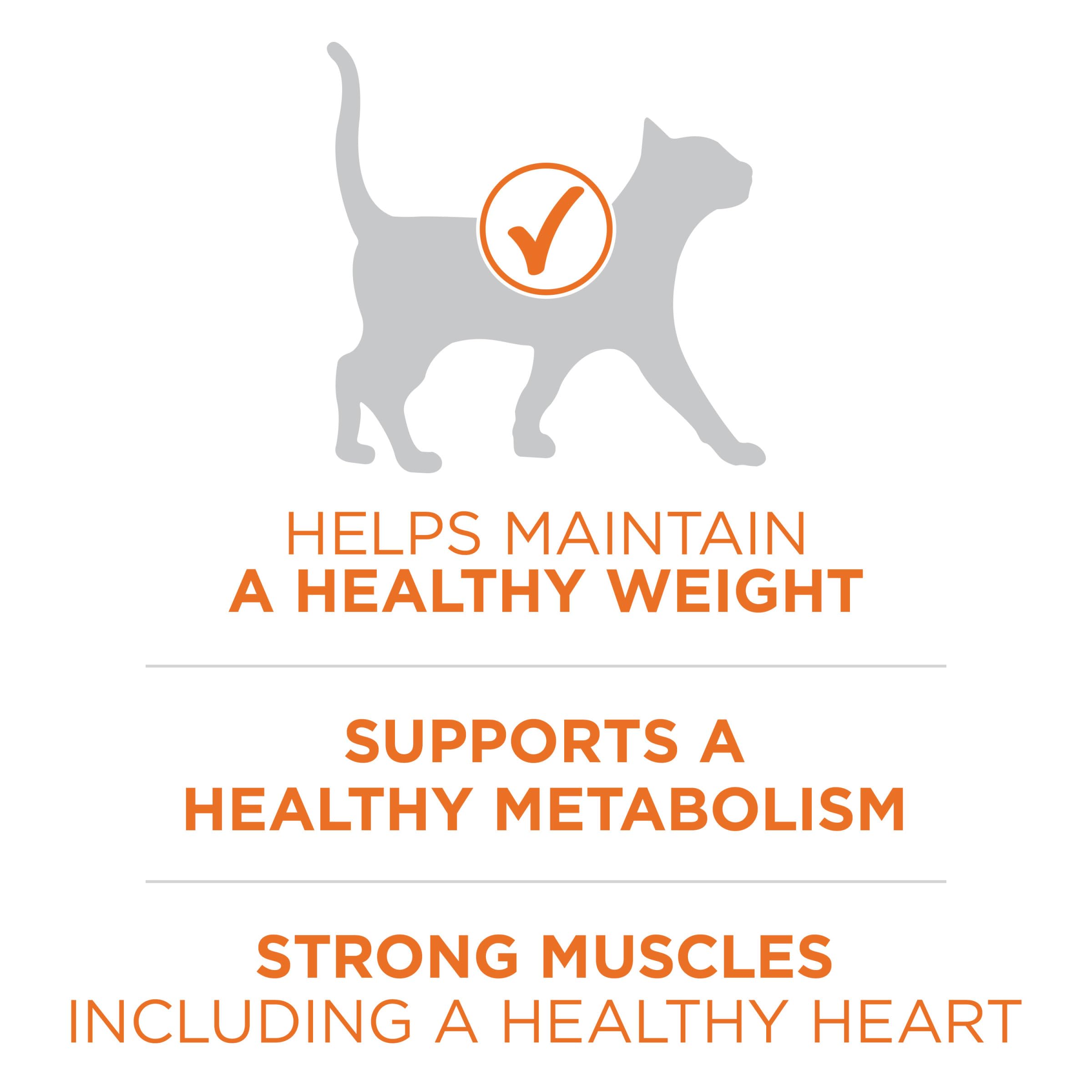 Purina ONE High Protein, Healthy Plus Ideal With Chicken Dry Cat Food Control Formula - 7 lb. Bag