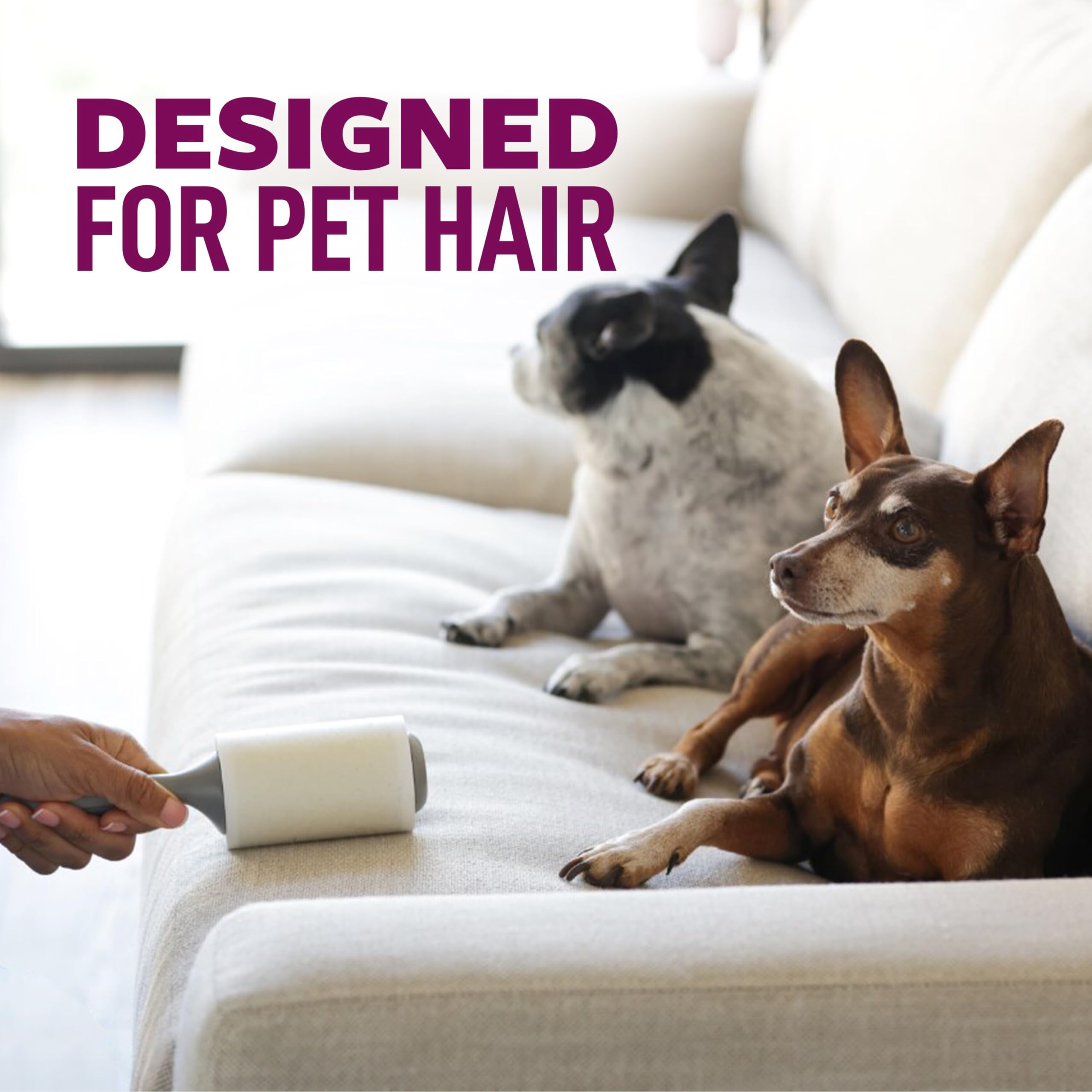 Scotch-Brite Pet Hair Pickup Extra Sticky Large Lint Roller, Designed for Removing Fur + Fluff on Couches, Clothes, Dog and Cat Beds, & More, 1 Pack, 60 Easy-Tear Adhesive Sheets Total