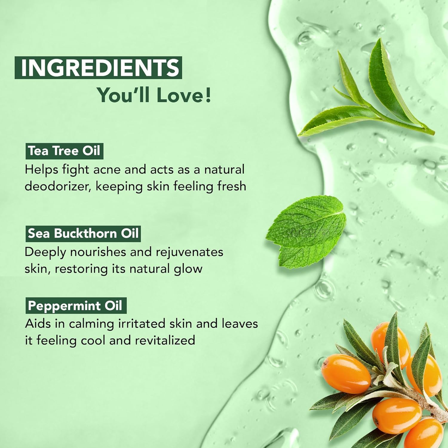 Botanic Hearth Tea Tree Body Wash | 16 Fl Oz | Helps Soothe Itchy, Dry Skin, Antifungal Body Wash With 100% Pure Tea Tree Oil | Sulfate Free, Paraben Free, For Men And Women Set Of 2