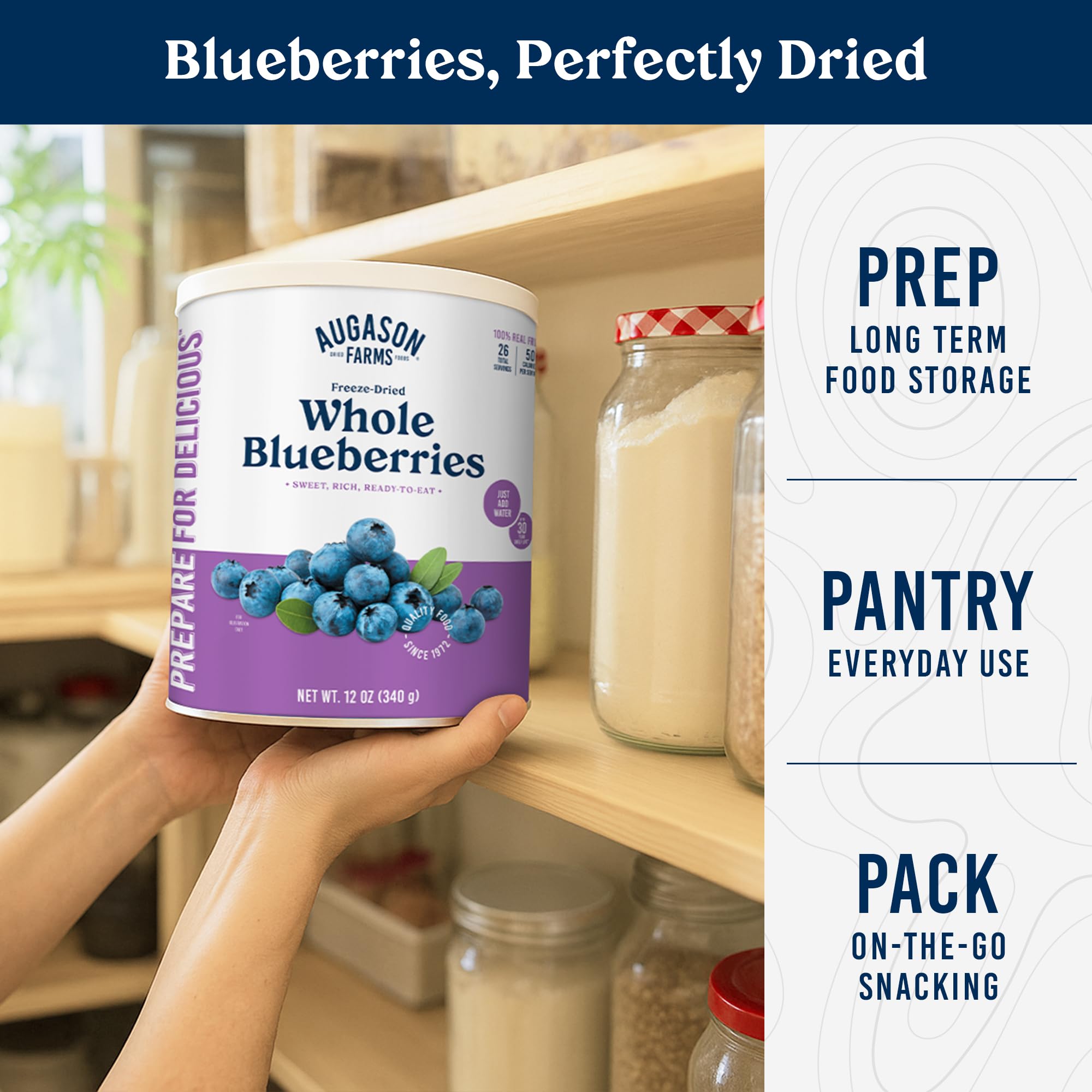 Augason Farms Dried Whole Blueberries Can – Dried Fruit for Baking & Emergency Food Supply – Dehydrated Camping Food with Long Shelf Life for Everyday Meal – 26 Servings