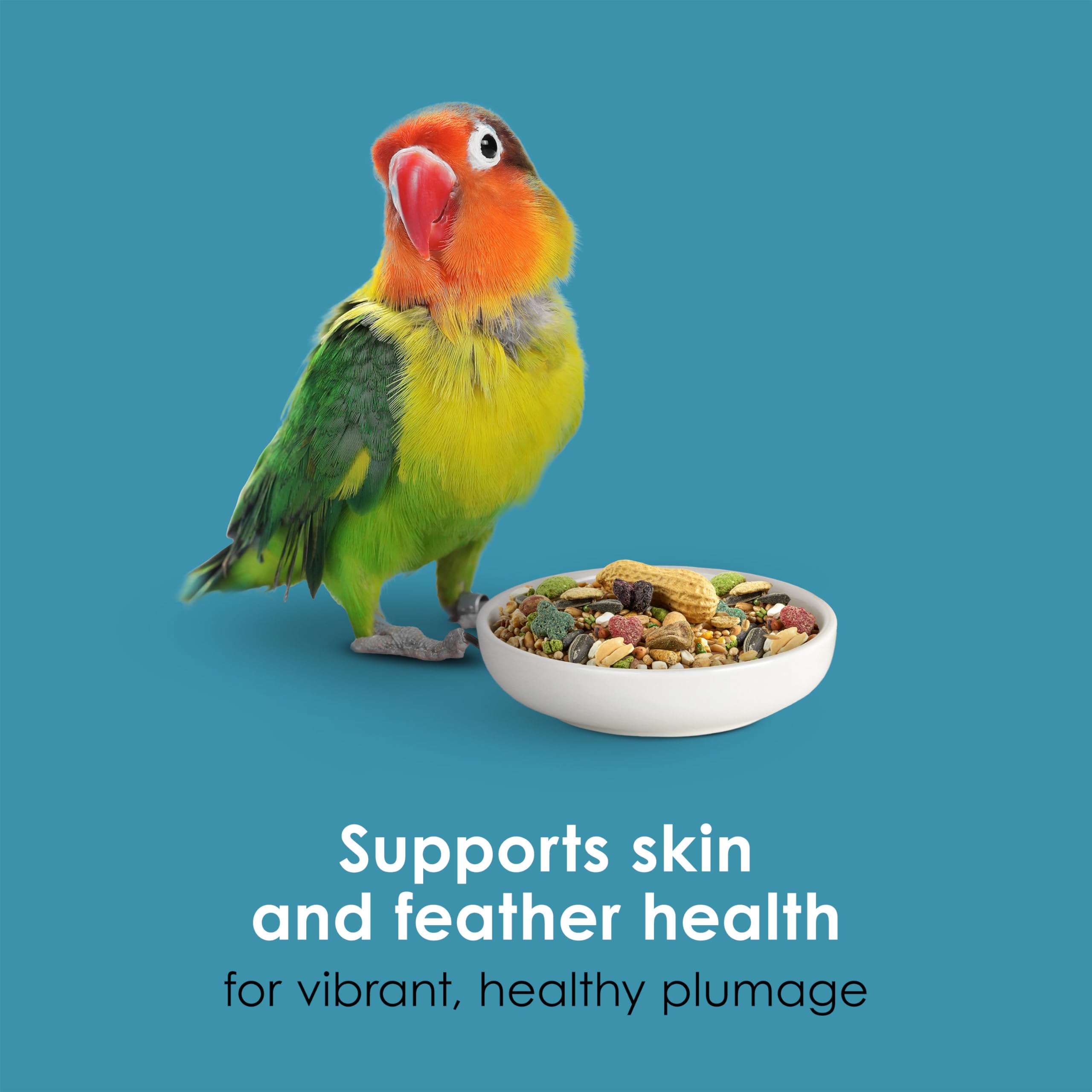 Kaytee Forti-Diet Pro Health Nourish+Protect Conure & Lovebird Food, Comprehensive Nutrition Backed by Science, Digestive Health, Immune Support, 4 pounds