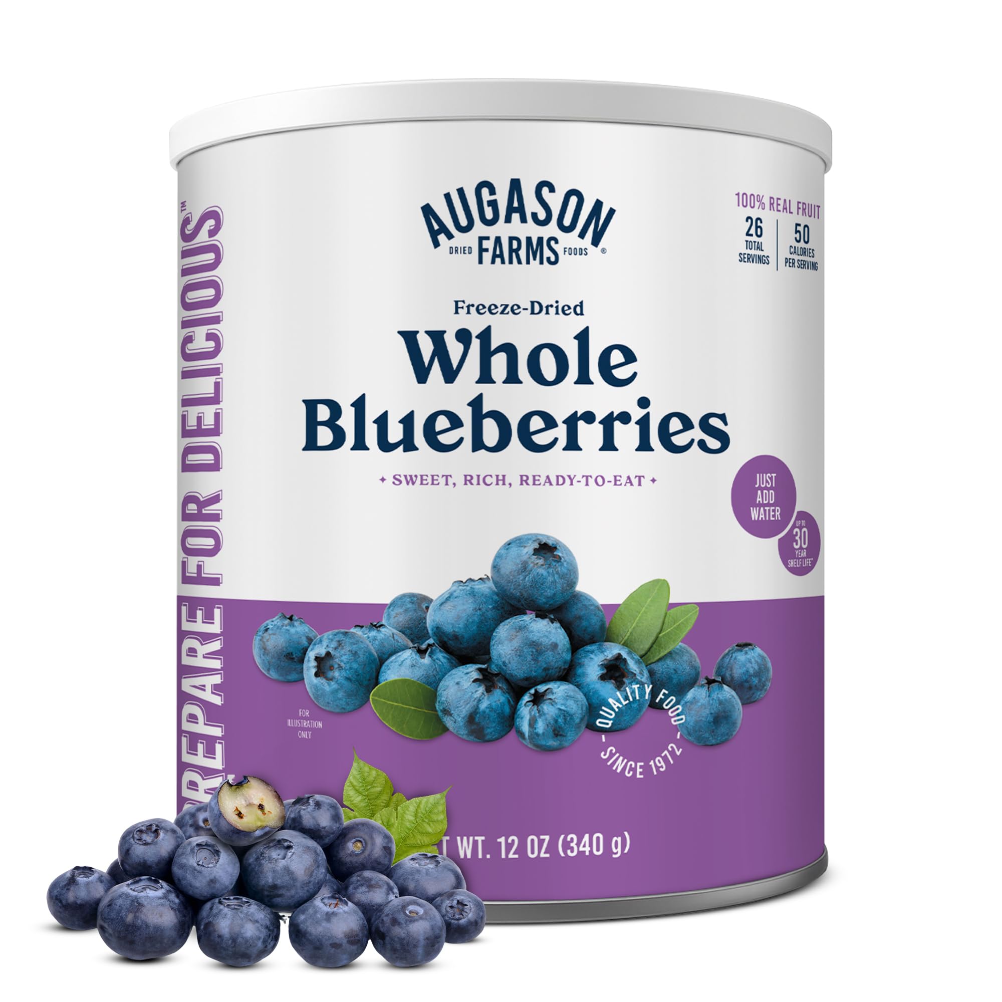 Augason Farms Ganze getrocknete Heidelbeeren (Dose) – Trockenfrüchte zum Backen & Notfallnahrung – Dehydriertes Campingessen mit langer Haltbarkeit für alltägliche Mahlzeiten – 26 Portionen
