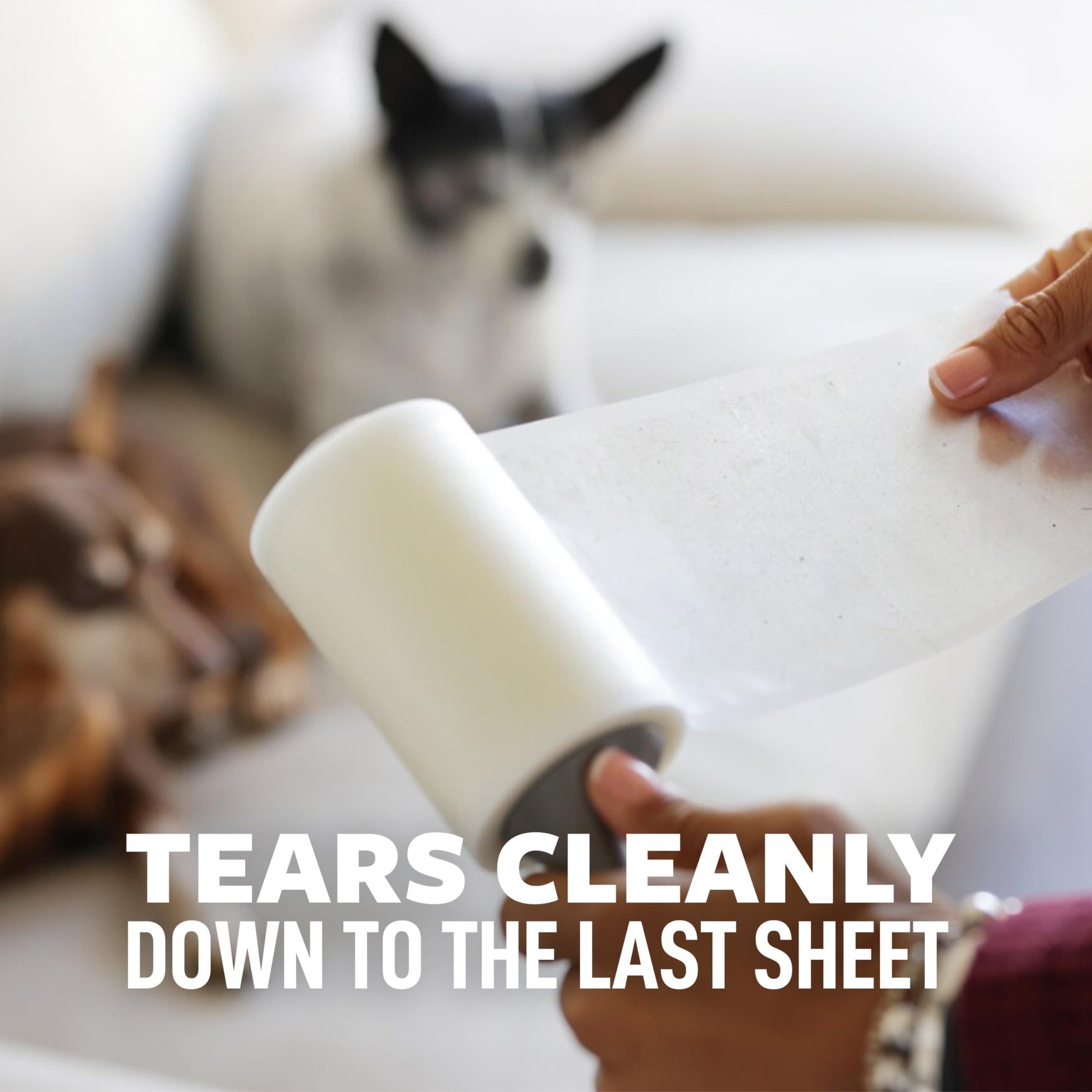 Scotch-Brite Pet Hair Pickup Extra Sticky Large Lint Roller, Designed for Removing Fur + Fluff on Couches, Clothes, Dog and Cat Beds, & More, 1 Pack, 60 Easy-Tear Adhesive Sheets Total