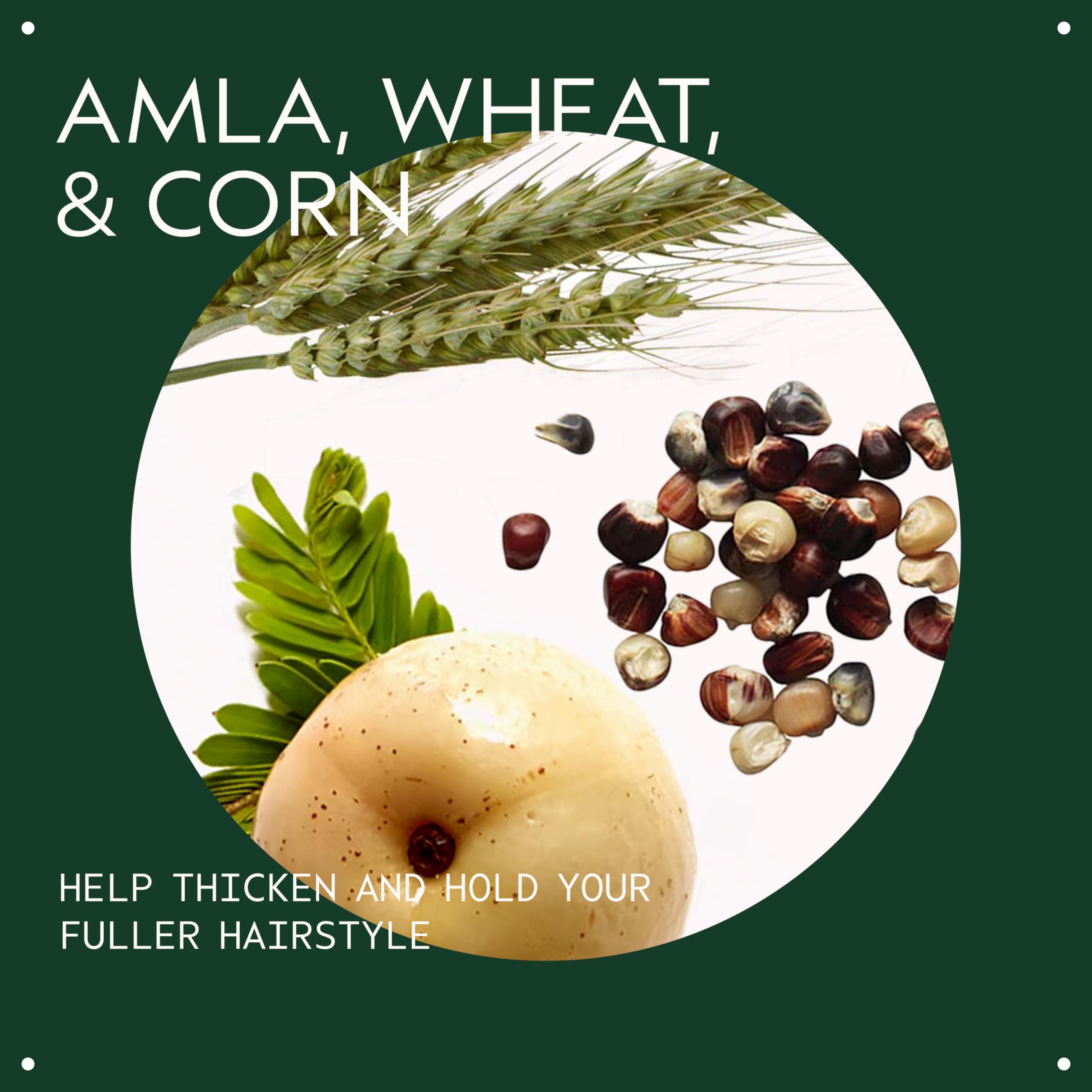Aveda Thickening Tonic | Instantly Thickens Hair | for Thin and Fine Hair | with Certified Organic Amla, 3.4 Fl Oz