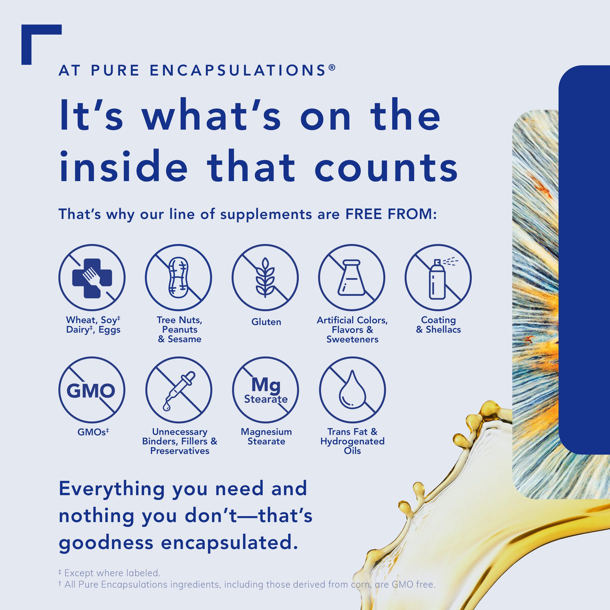 Pure Encapsulations O.N.E. Omega – Fischöl-Nahrungsergänzungsmittel für Herzgesundheit, Gelenke, Haut, Augen und Kognition* – Fischölkonzentrat mit EPA und DHA – 60 Weichkapseln