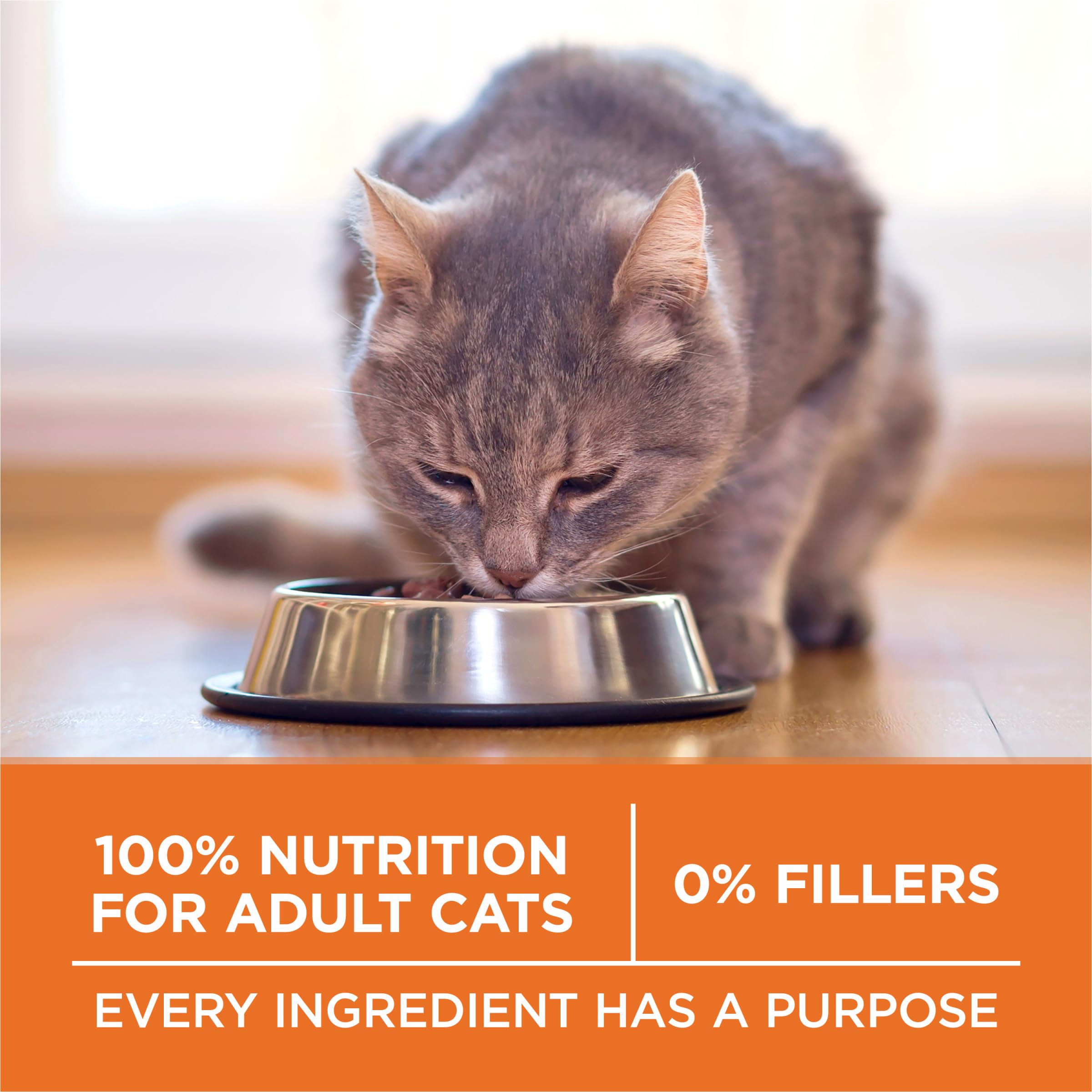 Purina ONE High Protein, Healthy Plus Ideal With Chicken Dry Cat Food Control Formula - 7 lb. Bag