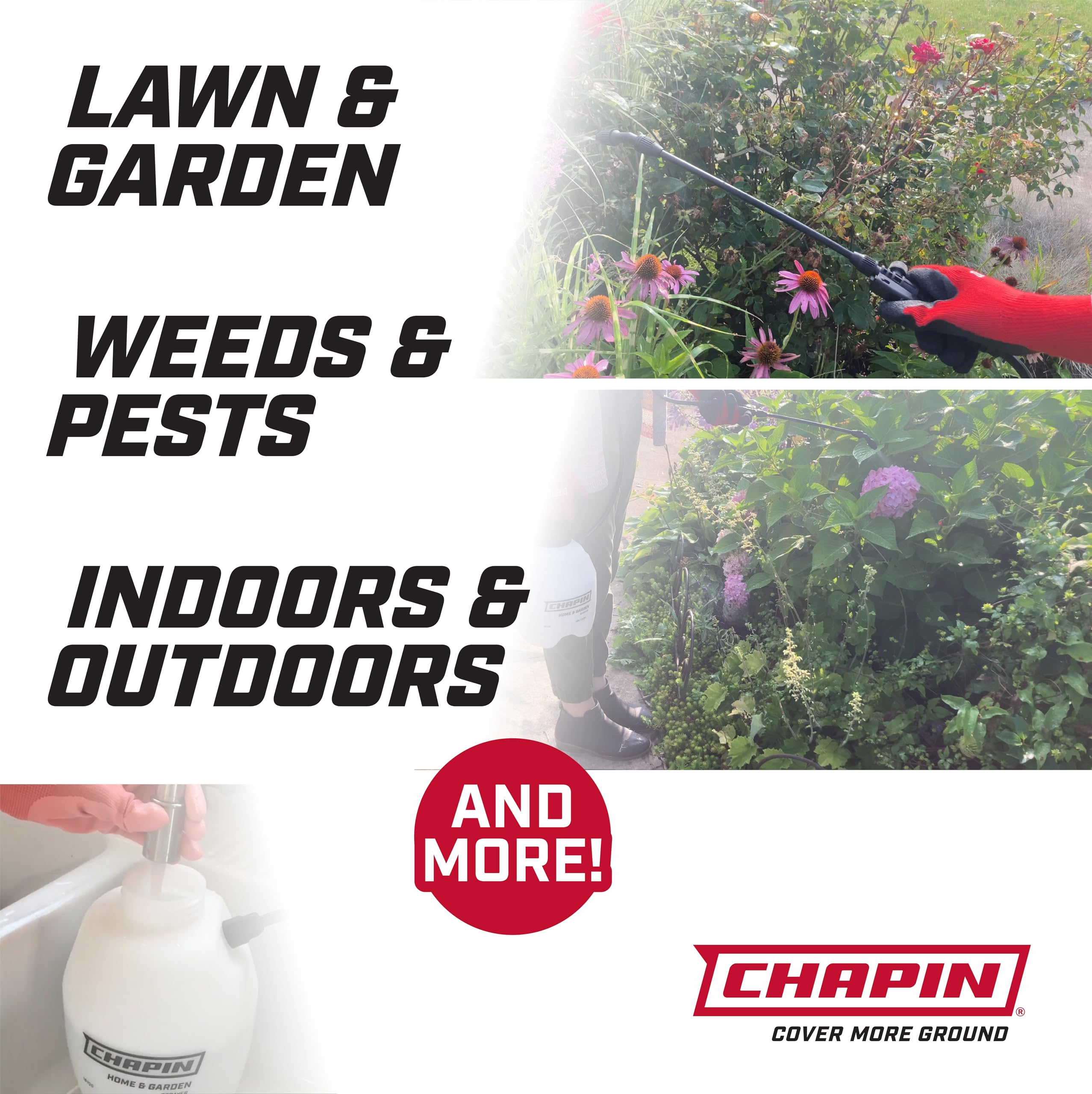 Chapin International 16144 1 Gallon Multipurpose Sprayer for Lawn, Home and Garden,Translucent White