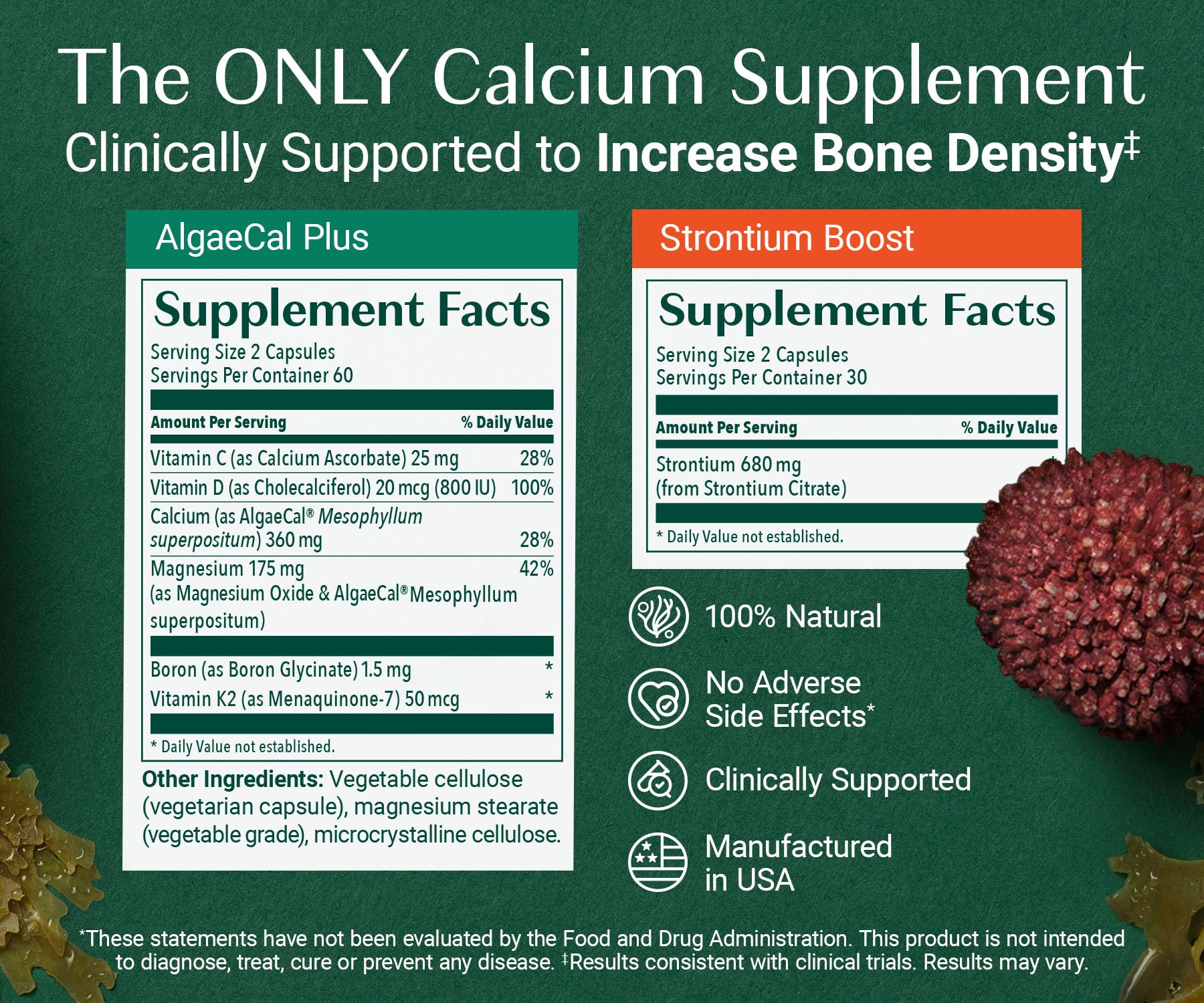 AlgaeCal - Bone Builder Pack for Bone Density Increase, Clinically Supported Plant Based Calcium Supplement & Strontium, Vitamins K2 (100mg), D3 (1600 IU), Magnesium & 16 Essential nutrients