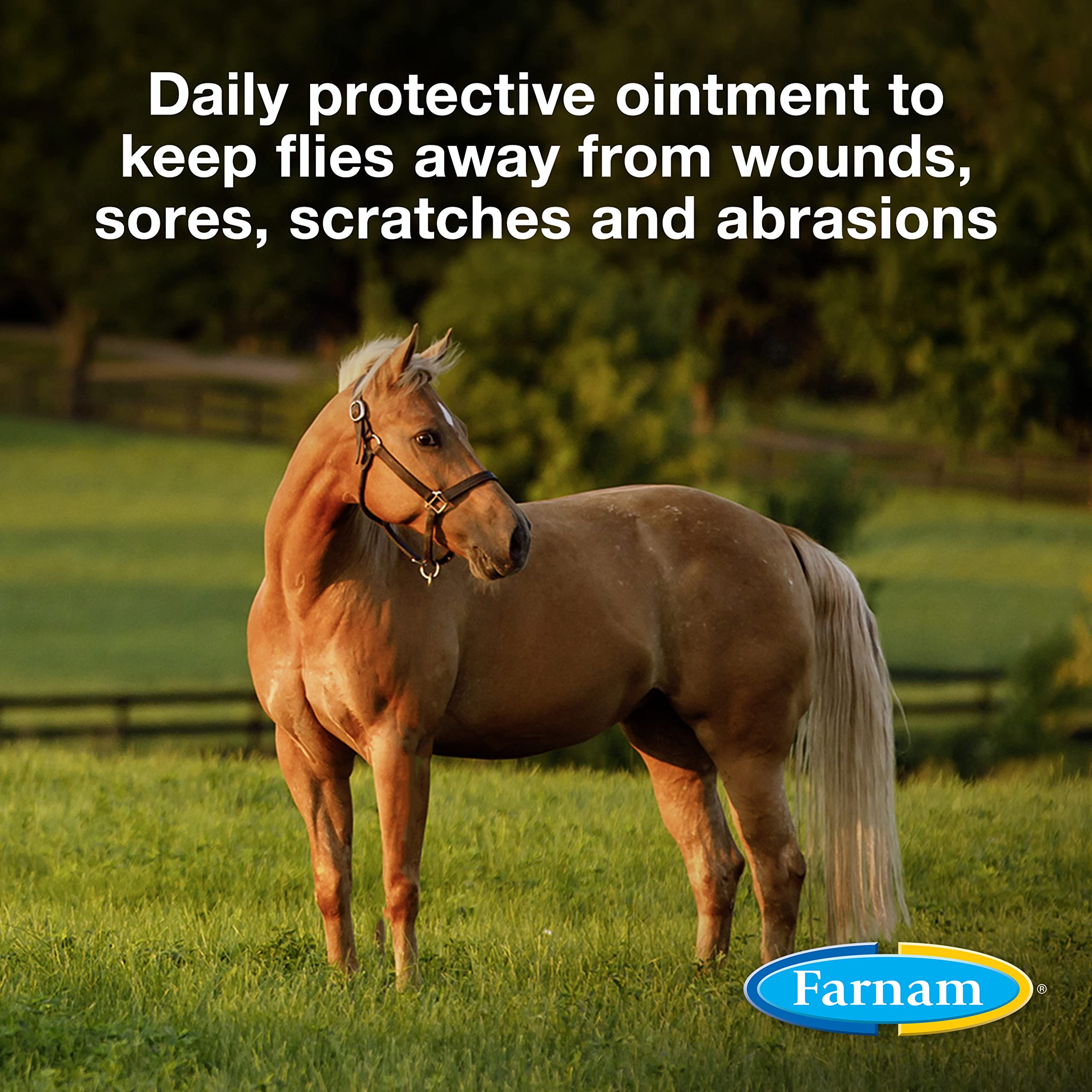 Farnam SWAT Clear Fly Repellent Ointment for Horses, Repels House, Stable, Face & Horn Flies, Protects Wounds on Horses, Ponies & Dogs, 7 oz.