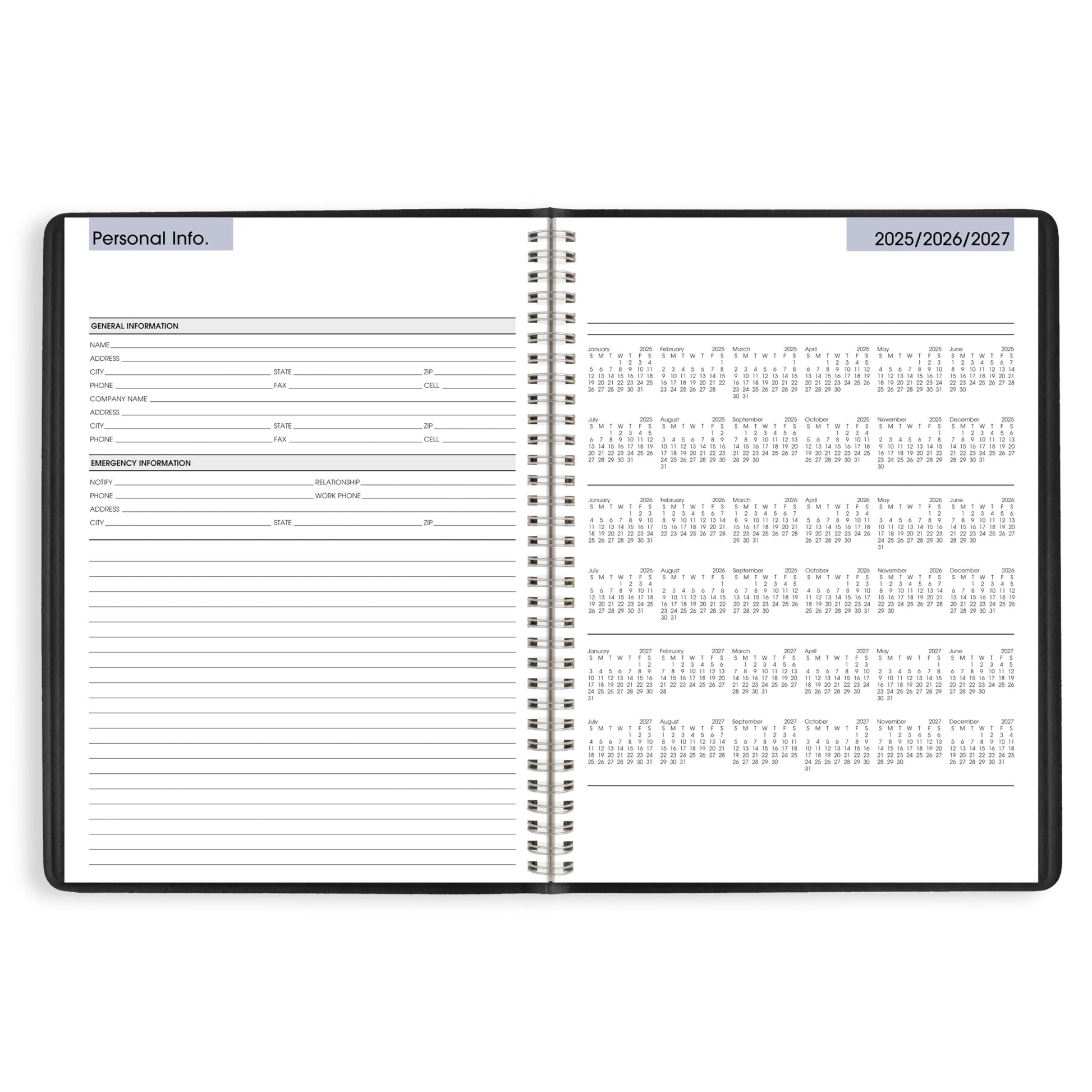 AT-A-GLANCE 2026 Appointment Book Planner, Weekly, 8" x 11", Large, Quarter-Hourly, DayMinder, Black (G5200026)