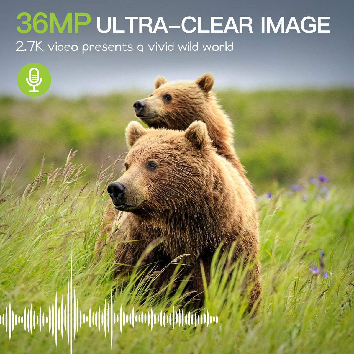Punvoe Trail Camera 2 Pack 36 MP 2.7K Game Camera 32GB Memory Card 4 Batteries Time 2.0" LCD Screen, Trail Cameras with 120 degreesWide Night Vision IP66 Waterproof for Monitoring Wildlife Trail Cam