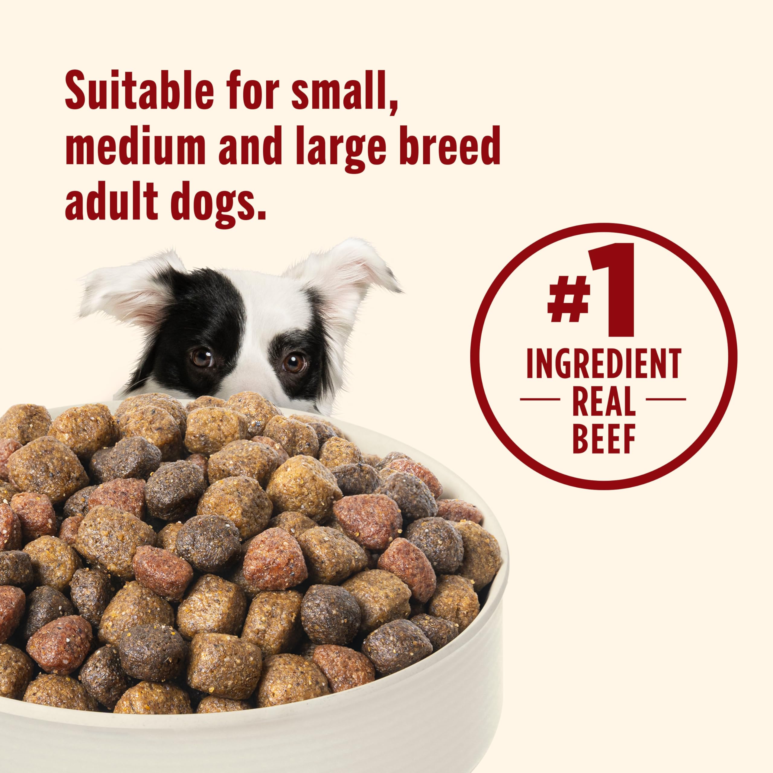 Nutrish Dry Dog Food, Real Beef, Pea & Brown Rice Recipe Whole Health Blend for Adult Dogs, 40 lb. Bag, Packaging May Vary (Rachael Ray)