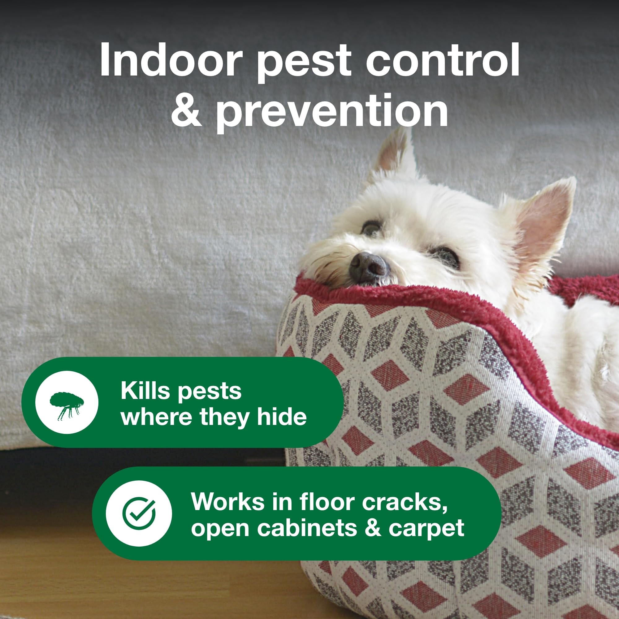 Advantage Household Fogger | Kills Fleas & Ticks | Flea Fogger for Home | 2 oz. Canisters (Pack of 3)