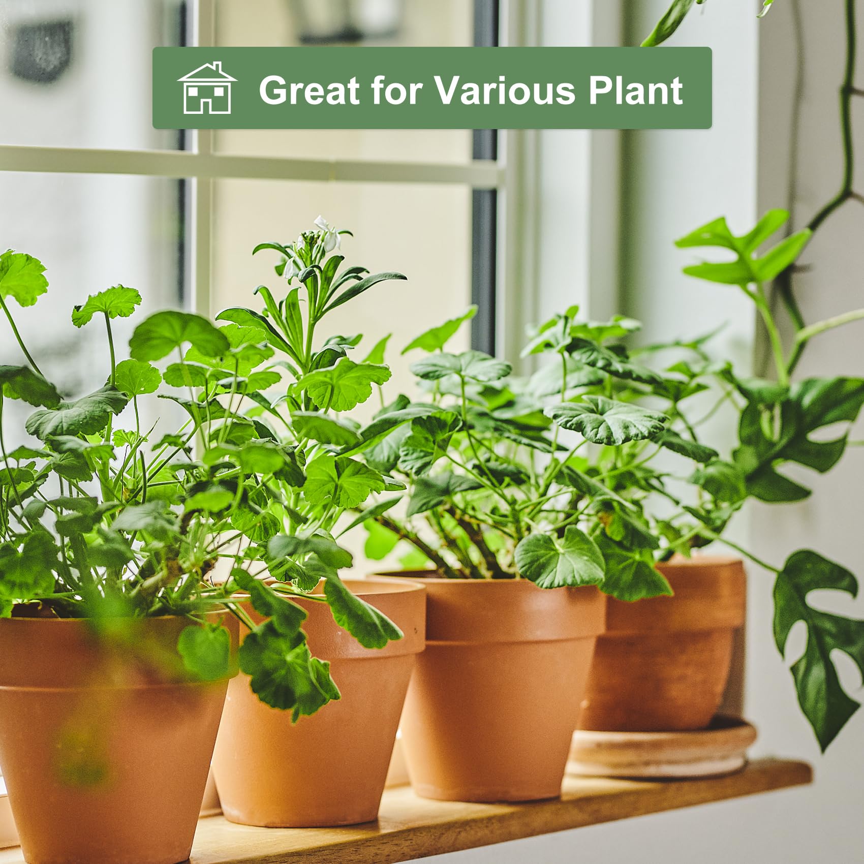 6 inch Terracotta & Clay Pots for Plants with Saucer, Medium Terra Cotta Plant Pots with Drainage Hole, Flowerpot with Tray, Terracotta Pot for Indoor Outdoor Plant - Pack of 4 Planters