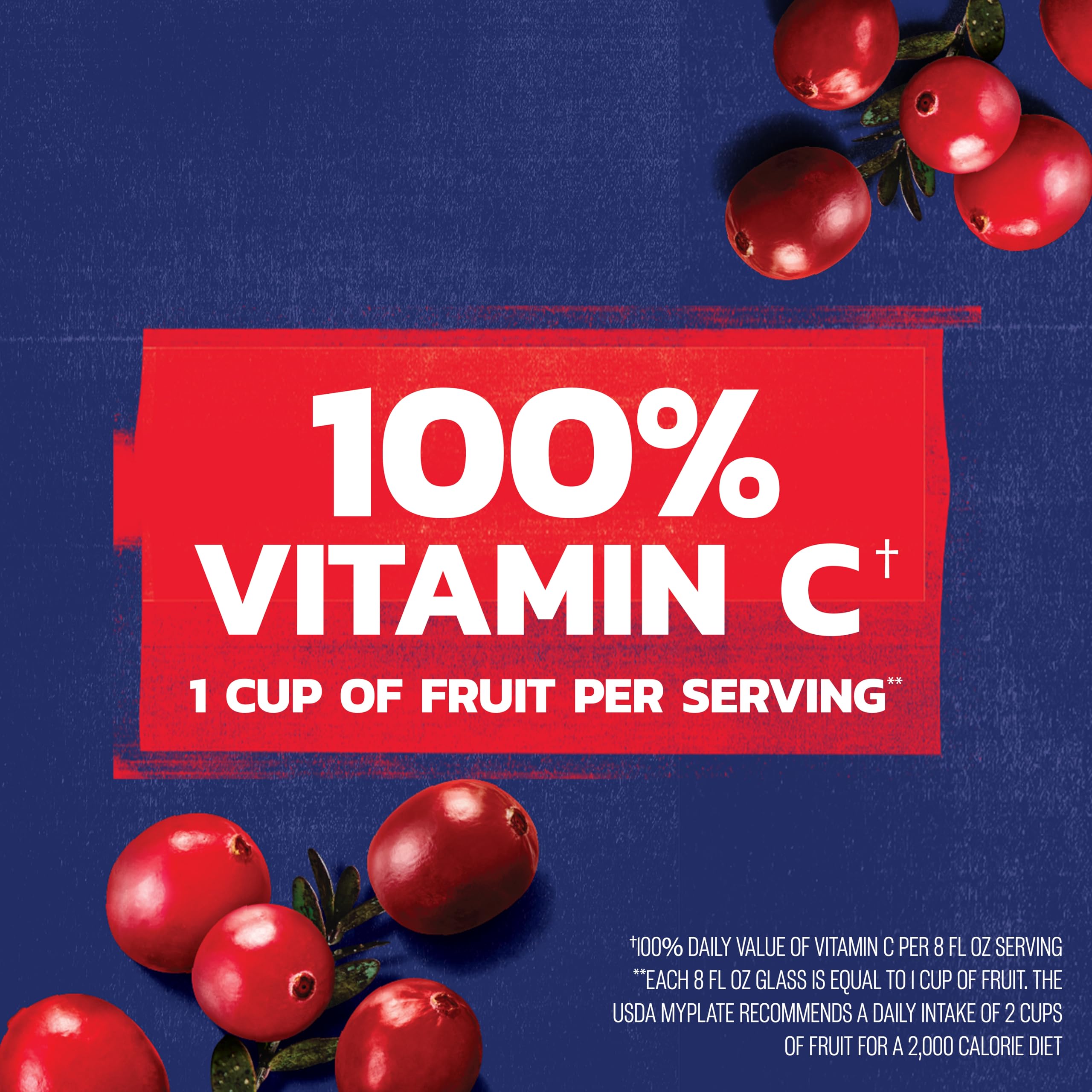 Ocean Spray® 100% Juice Cranberry Juice Blend, 10 Fl Oz, 6 Count (Pack of 1)