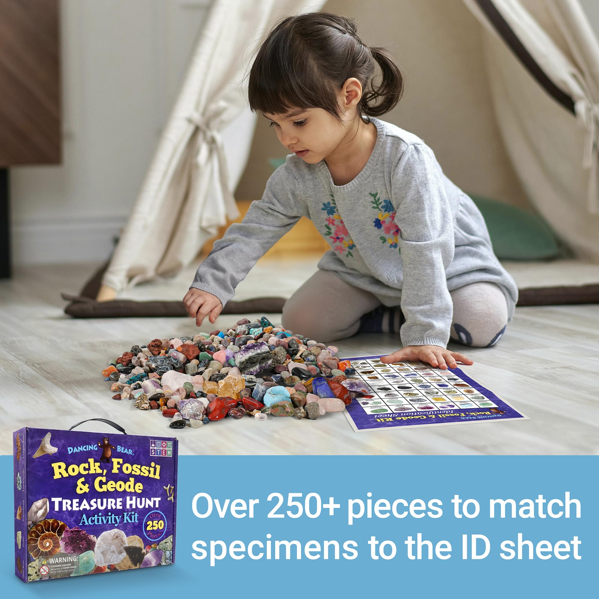 DANCING BEAR Rock, Mineral & Geodes Treasure Hunt Activity Kit (250 Pc Set) Real Shark Teeth Fossils, ID Sheet & Rock Book, STEM