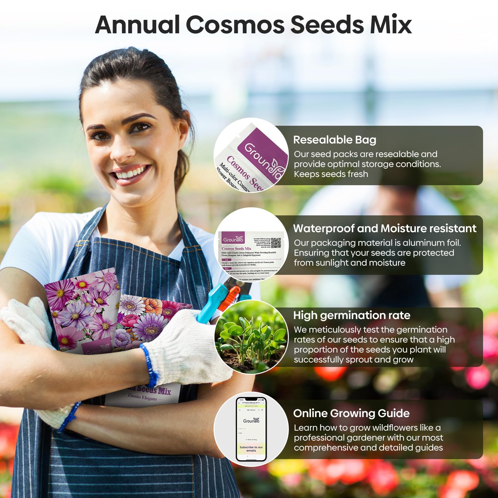 Groundio Cosmos Seeds Wildflower Mix, 1 Oz, Over 3,000 Seeds, 4 Varieties Flowers Seeds for Planting (Radiance, Purity, Pinkie, Picotee), Garden Seeds Open Pollinated Bulk