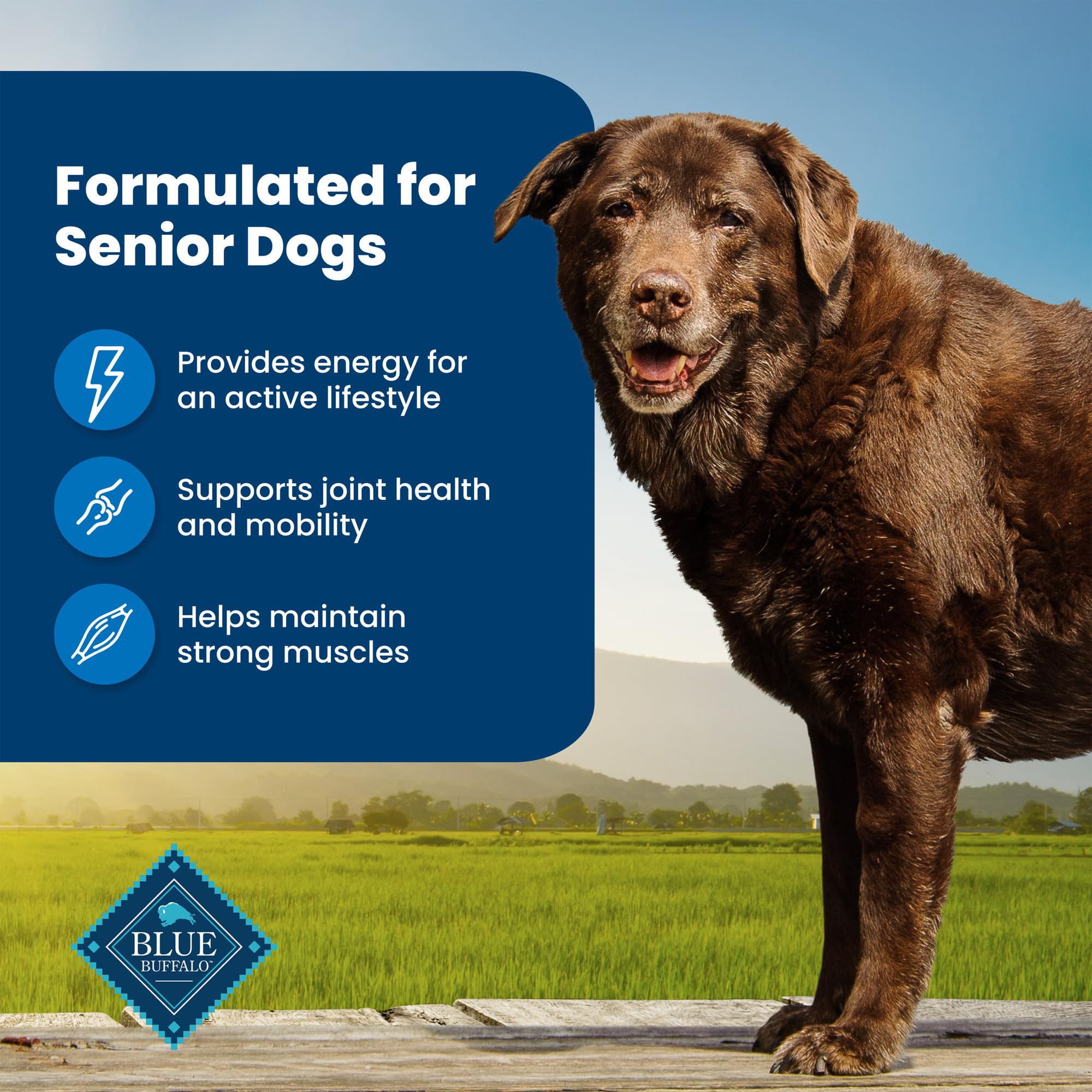 Blue Buffalo Life Protection Formula Natural Senior Dry Dog Food, Chicken and Brown Rice 5-lb Trial Size Bag