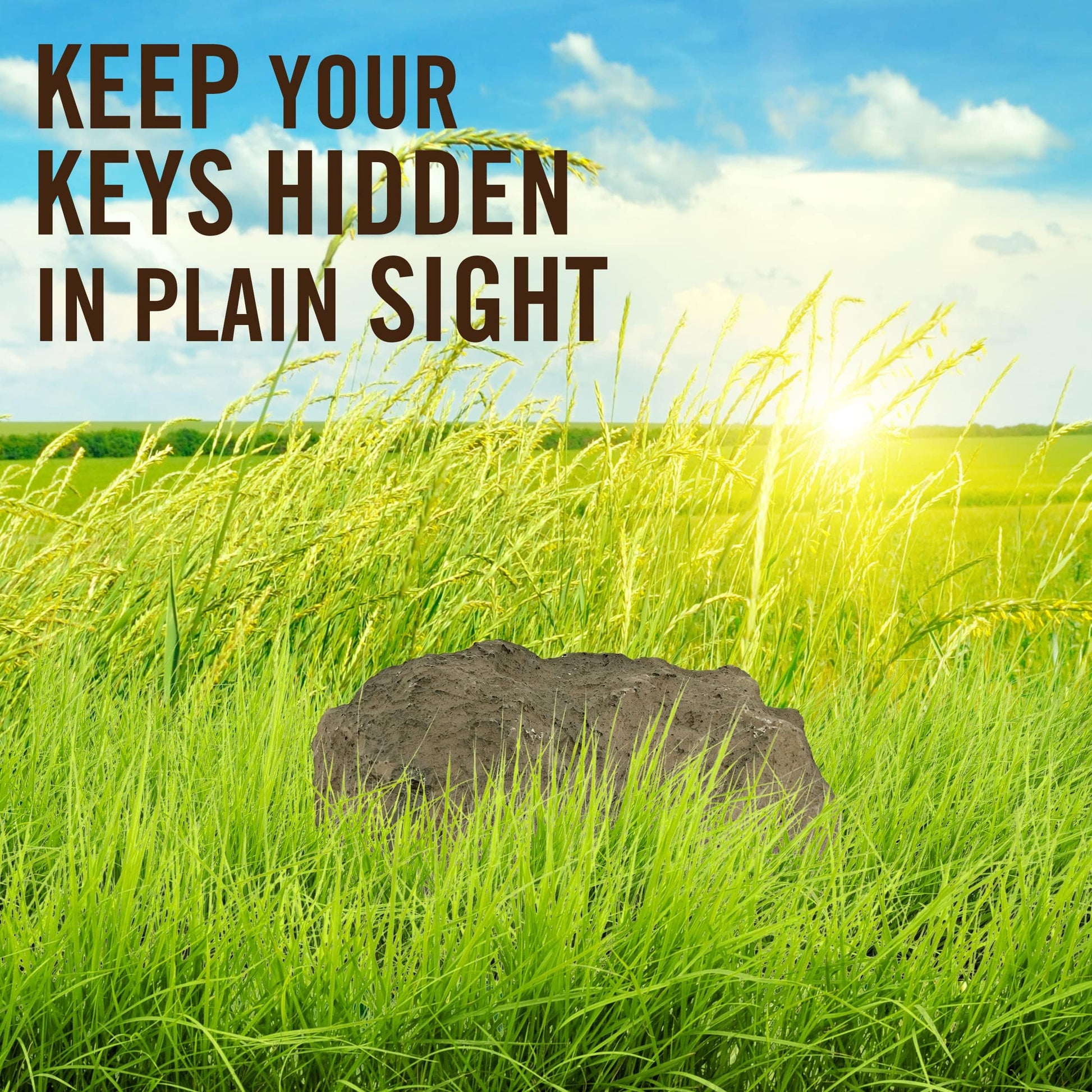RamPro Hide-a-Spare-Key Fake Rock - Looks & Feels like Real Stone - Safe for Outdoor Garden or Yard, Geocaching (1)