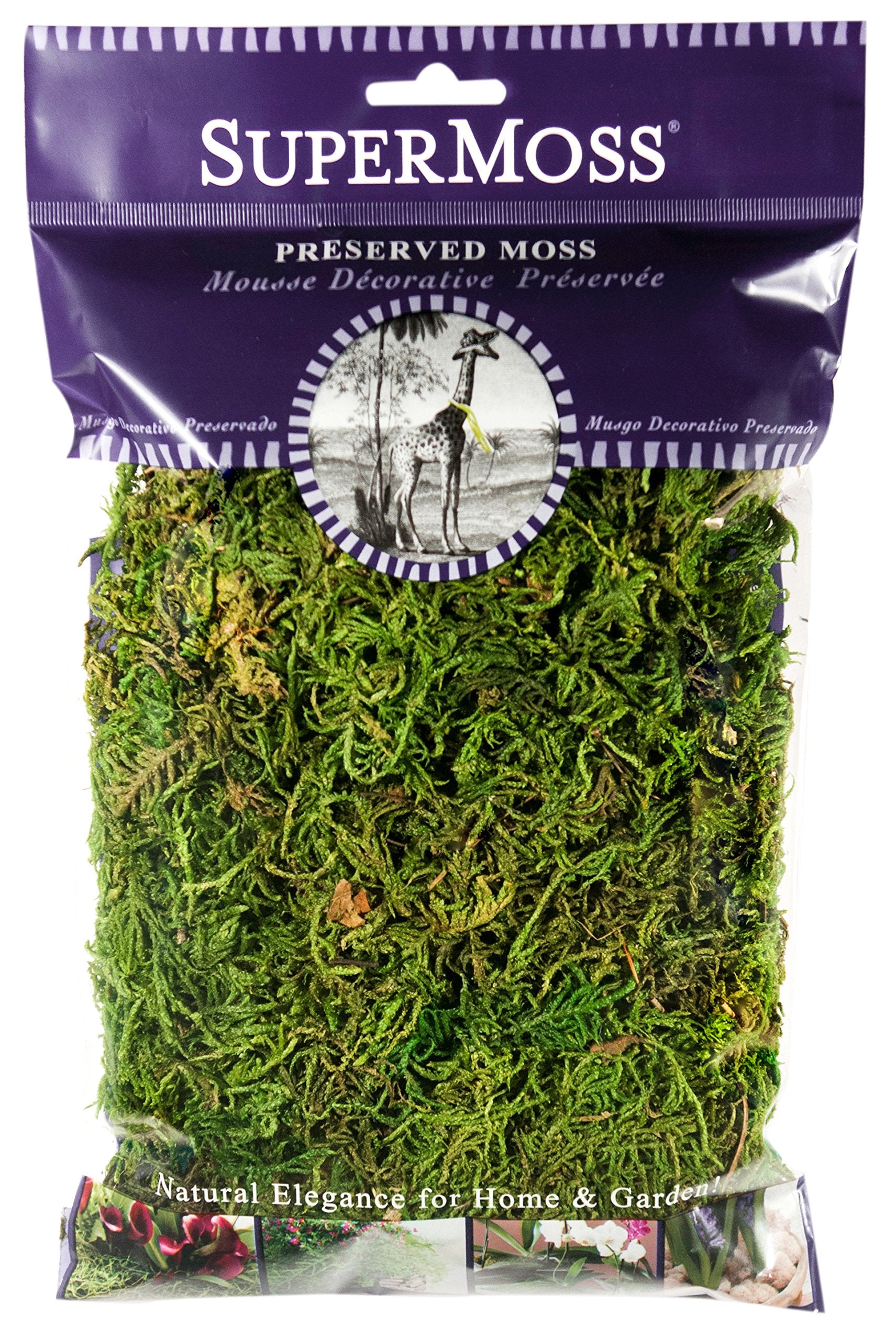 SuperMoss (25320) طحلب الغابة المحفوظ، أخضر طازج، 2 أوقية