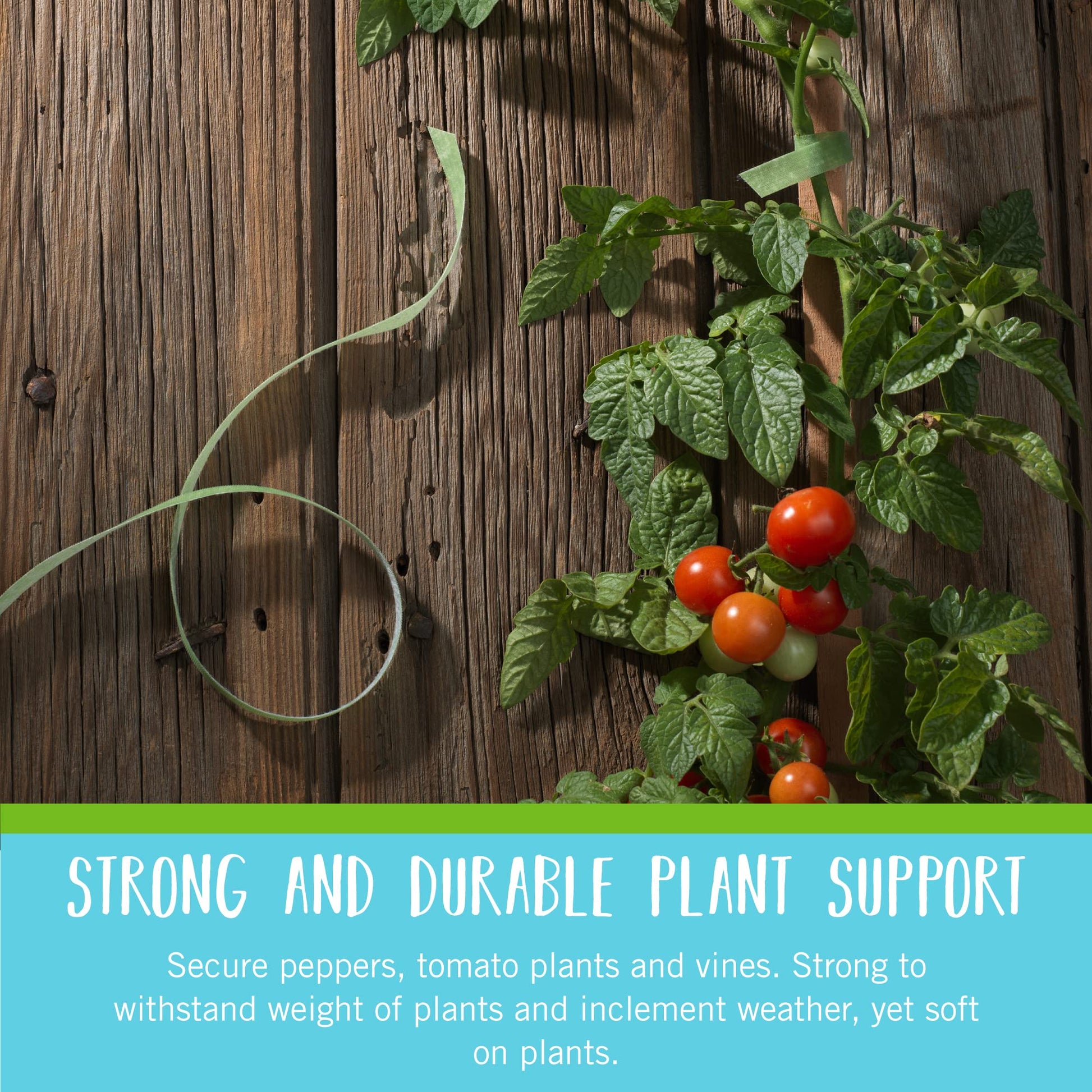VELCRO Brand VEL-30071-USA ONE-WRAP Garden Ties | Plant Supports for Effective Growing | Strong Grips are Reusable and Adjustable | Cut-to-Length, 50 ft x 1/2 in, Green-Recycled Plastic