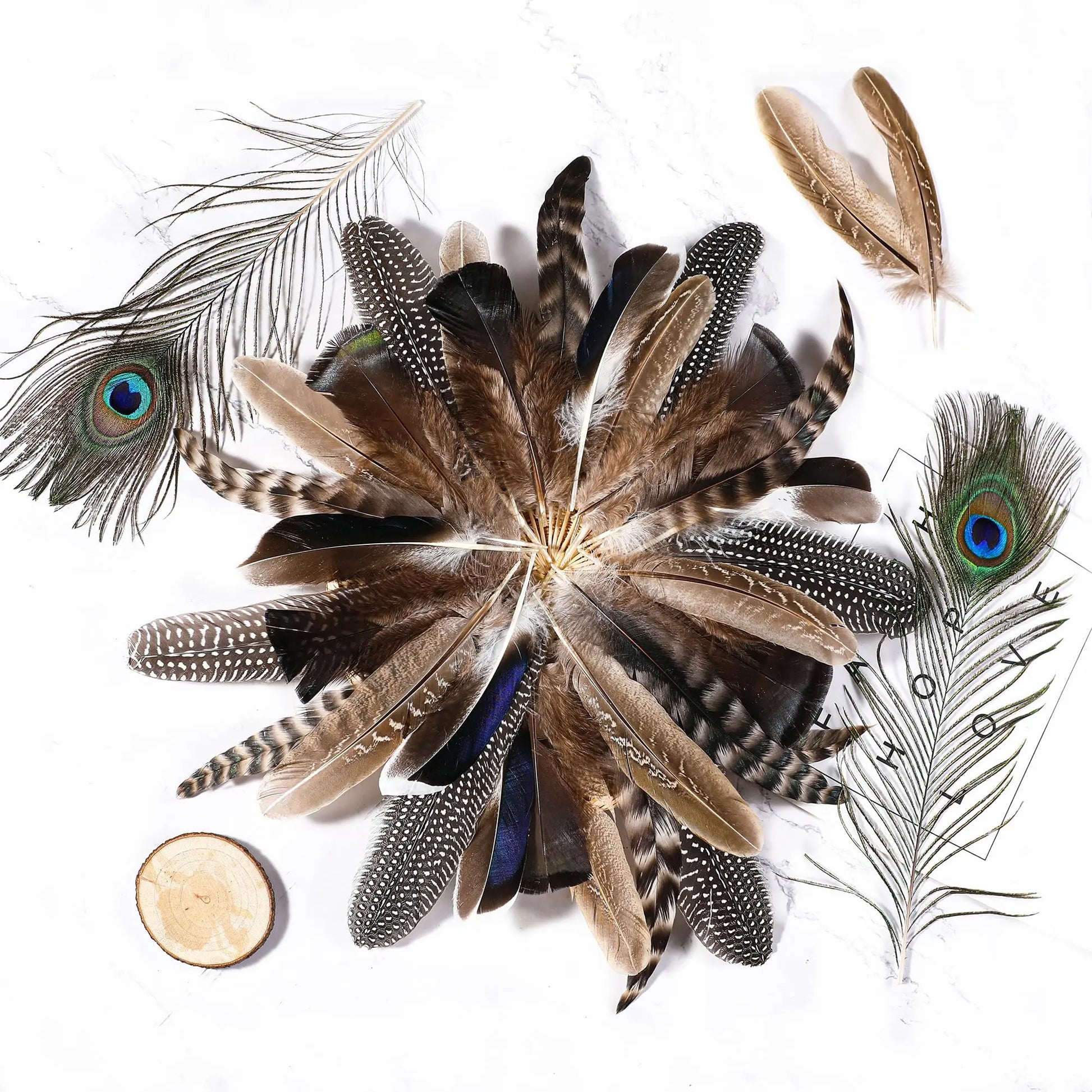 Holmgren 48pcs Natural Feathers Bulk - 6 Styles Assorted Peacock, Pheasant, Turkey Feathers for Craft DIY Jewelry Hat Wedding Home Party Decoration