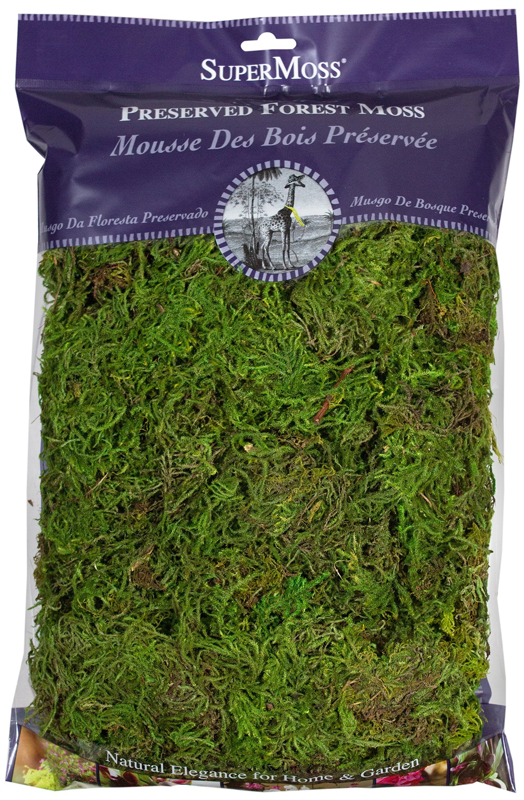 SuperMoss (25322) طحالب الغابة المحفوظة، خضراء طازجة، 8 أونصة